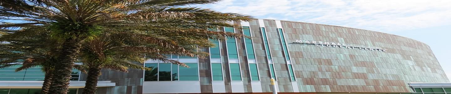 University of South Florida banner